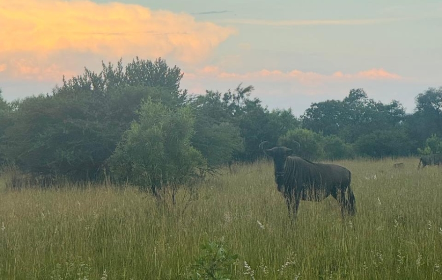 0 Bedroom Property for Sale in Swartruggens North West